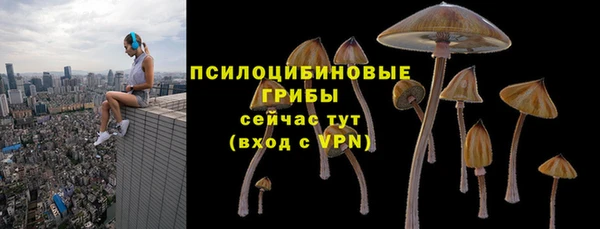 PSILOCYBIN Балахна