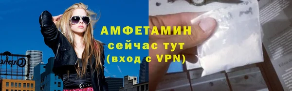 spice Богданович