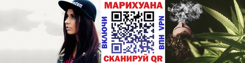 Каннабис сатива Великий Устюг